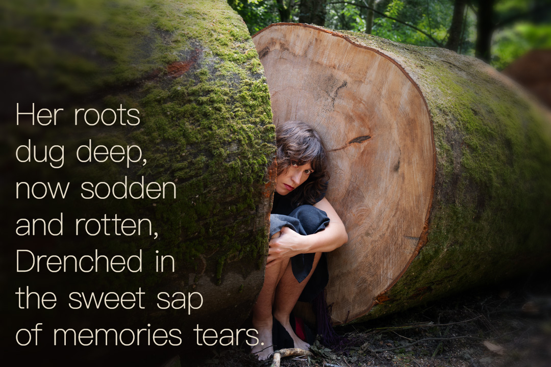 Fallen Words ‘A Fallen Oak’ by Rosie May Jones – Save The Oaks